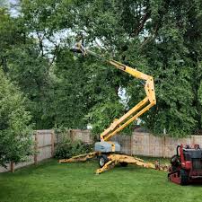 Professional Tree Services in Ridge Manor, FL